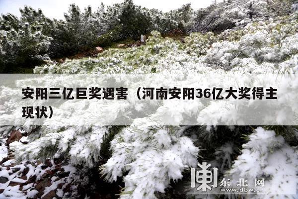 安阳三亿巨奖遇害(河南安阳36亿大奖得主现状)