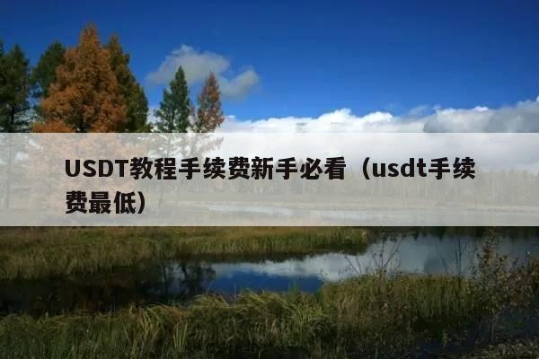 USDT教程手续费新手必看(usdt手续费最低)