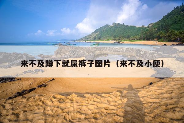 来不及蹲下就尿裤子图片(来不及小便)