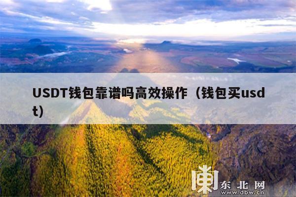 USDT钱包靠谱吗高效操作(钱包买usdt)