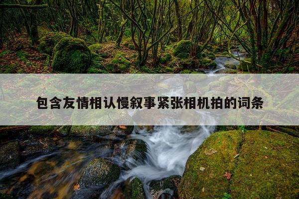 包含友情相认慢叙事紧张相机拍的词条