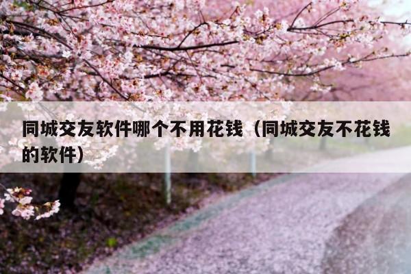 同城交友软件哪个不用花钱(同城交友不花钱的软件)