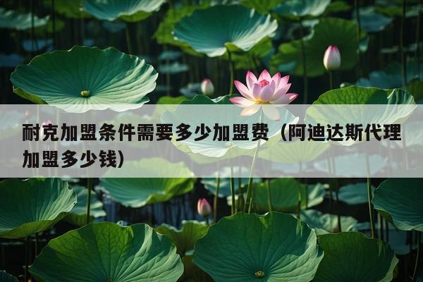 耐克加盟条件需要多少加盟费(阿迪达斯代理加盟多少钱)