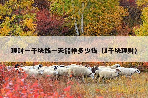 理财一千块钱一天能挣多少钱(1千块理财)