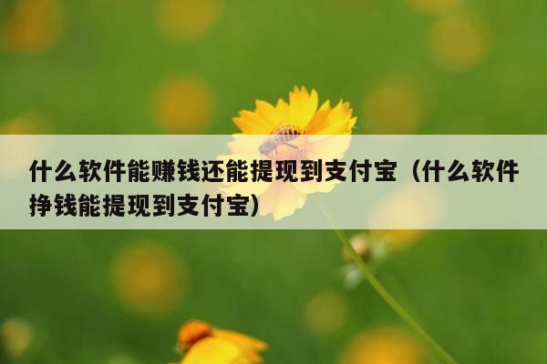 什么软件能赚钱还能提现到支付宝(什么软件挣钱能提现到支付宝)