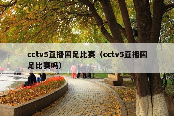 cctv5直播国足比赛（cctv5直播国足比赛吗）