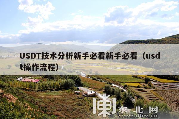 USDT技术分析新手必看新手必看（usdt操作流程）