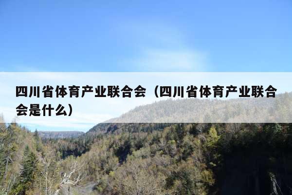 四川省体育产业联合会(四川省体育产业联合会是什么)