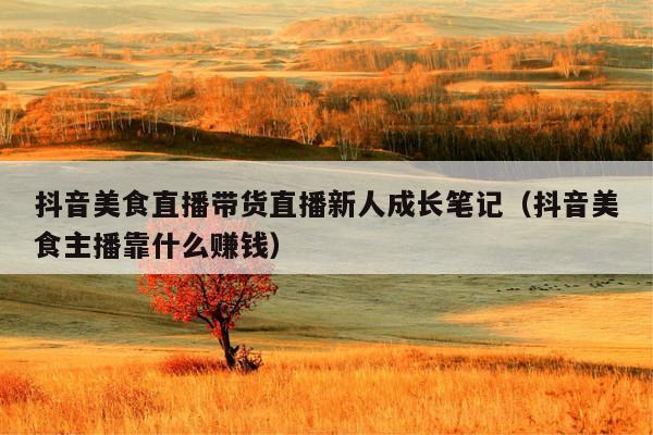 抖音美食直播带货直播新人成长笔记（抖音美食主播靠什么赚钱）