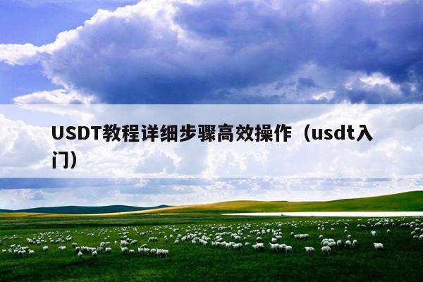USDT教程详细步骤高效操作（usdt入门）