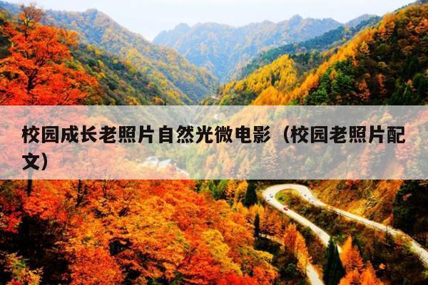 校园成长老照片自然光微电影(校园老照片配文)