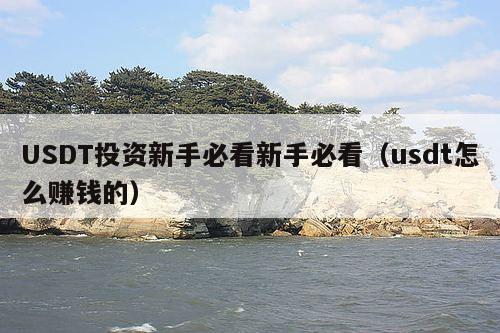 USDT投资新手必看新手必看(usdt怎么赚钱的)