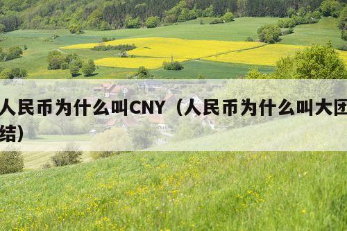 人民币为什么叫CNY(人民币为什么叫大团结)