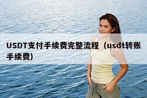 USDT支付手续费完整流程（usdt转账手续费）