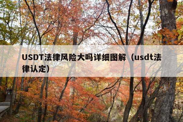 USDT法律风险大吗详细图解(usdt法律认定)