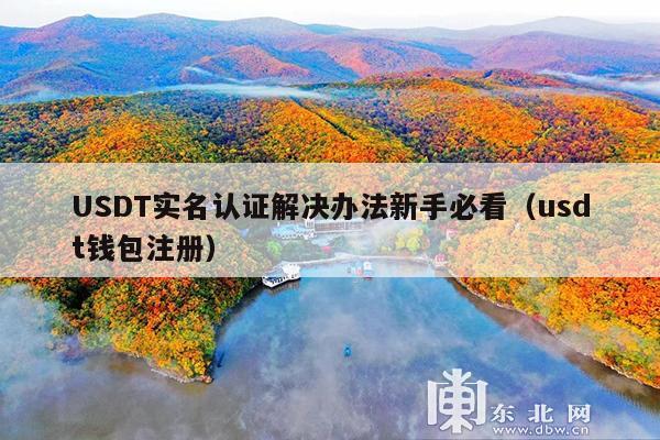 USDT实名认证解决办法新手必看(usdt钱包注册)