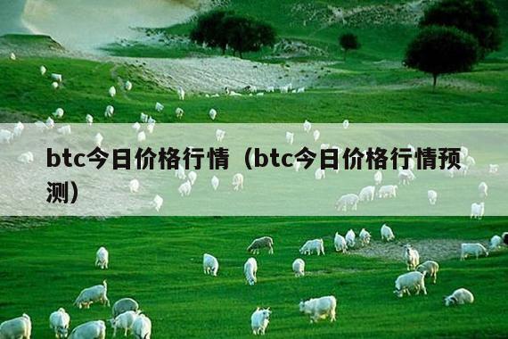 btc今日价格行情(btc今日价格行情预测)