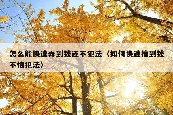 怎么能快速弄到钱还不犯法(如何快速搞到钱不怕犯法)