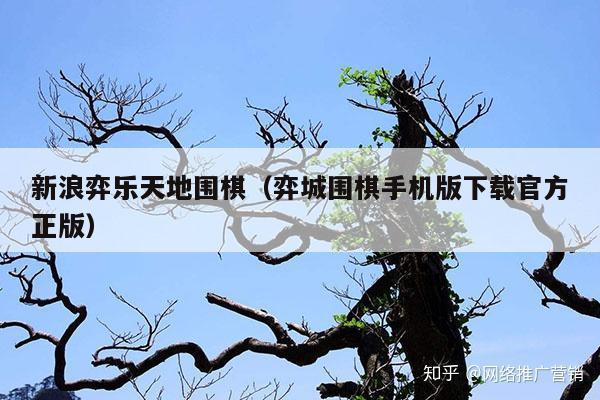 新浪弈乐天地围棋(弈城围棋手机版下载官方正版)