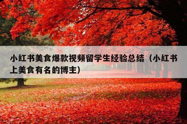 小红书美食爆款视频留学生经验总结(小红书上美食有名的博主)