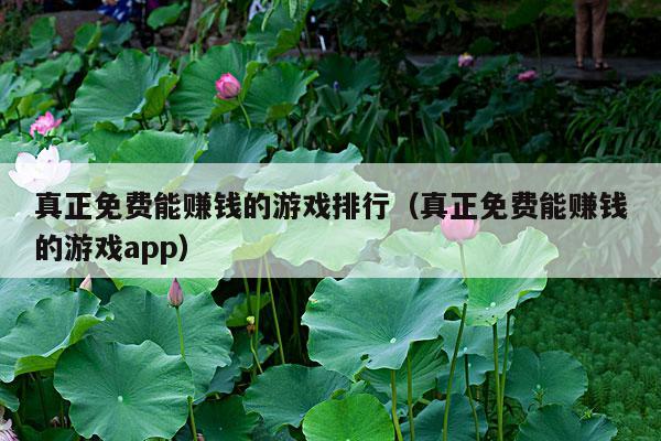 真正免费能赚钱的游戏排行(真正免费能赚钱的游戏app)