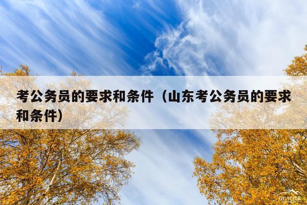 考公务员的要求和条件(山东考公务员的要求和条件)