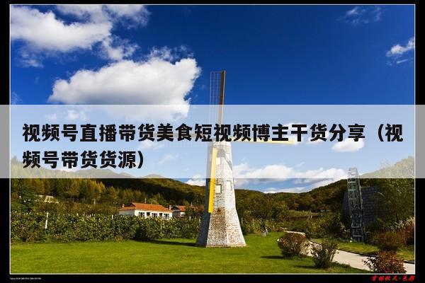 视频号直播带货美食短视频博主干货分享(视频号带货货源)