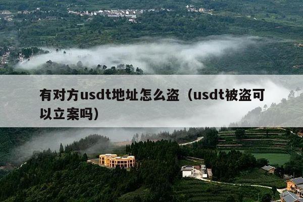 有对方usdt地址怎么盗(usdt被盗可以立案吗)