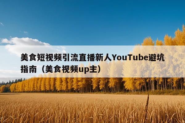 美食短视频引流直播新人YouTube避坑指南(美食视频up主)