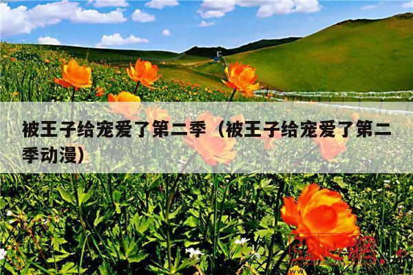 被王子给宠爱了第二季(被王子给宠爱了第二季动漫)
