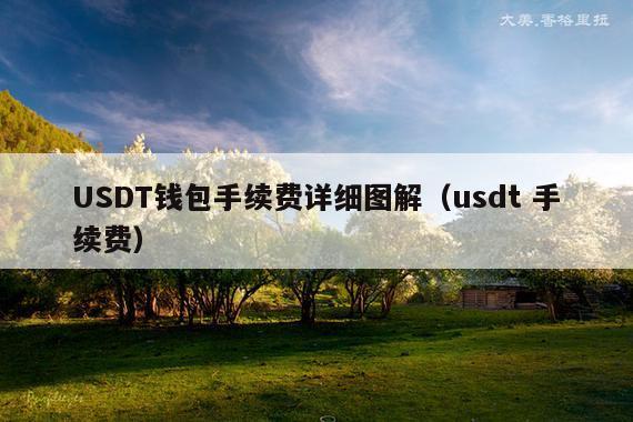 USDT钱包手续费详细图解(usdt 手续费)