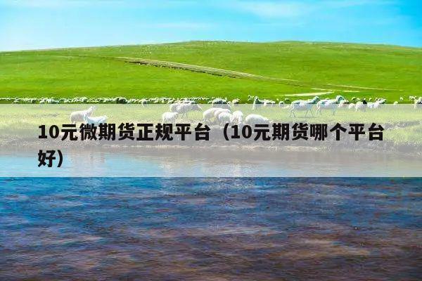 10元微期货正规平台(10元期货哪个平台好)