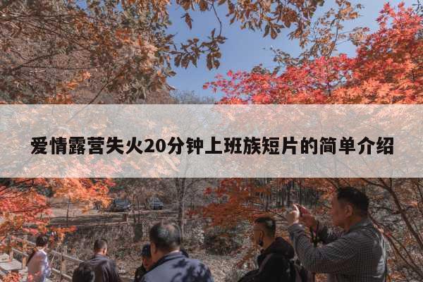 爱情露营失火20分钟上班族短片的简单介绍