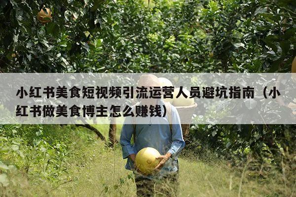 小红书美食短视频引流运营人员避坑指南(小红书做美食博主怎么赚钱)