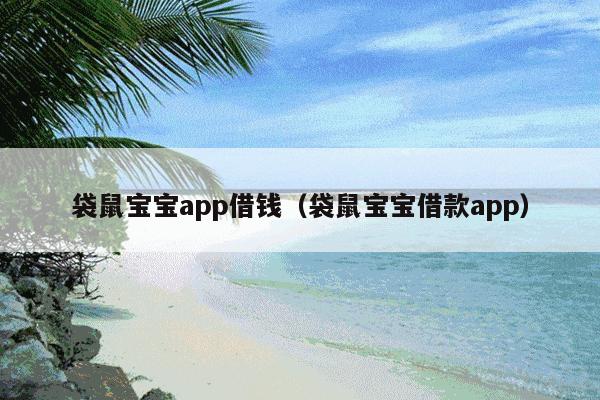 袋鼠宝宝app借钱(袋鼠宝宝借款app)