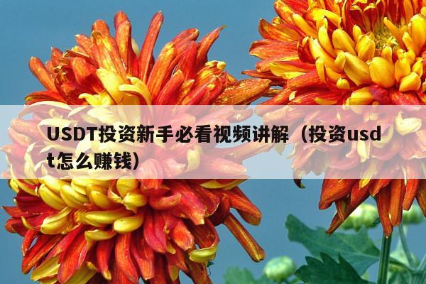 USDT投资新手必看视频讲解(投资usdt怎么赚钱)