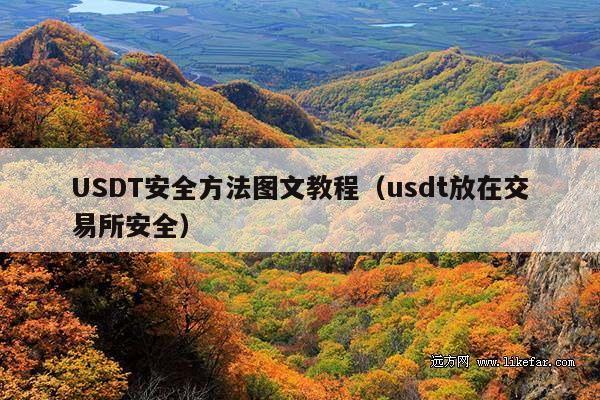 USDT安全方法图文教程(usdt放在交易所安全)