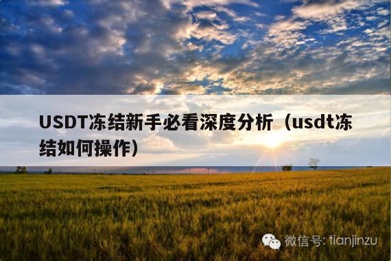 USDT冻结新手必看深度分析(usdt冻结如何操作)