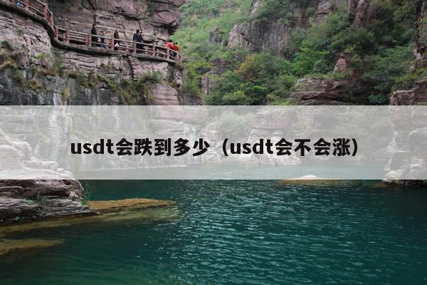 usdt会跌到多少(usdt会不会涨)