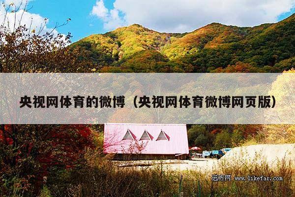 央视网体育的微博(央视网体育微博网页版)