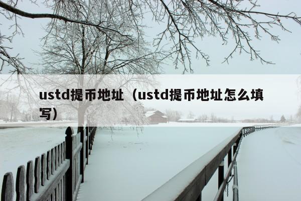 ustd提币地址(ustd提币地址怎么填写)