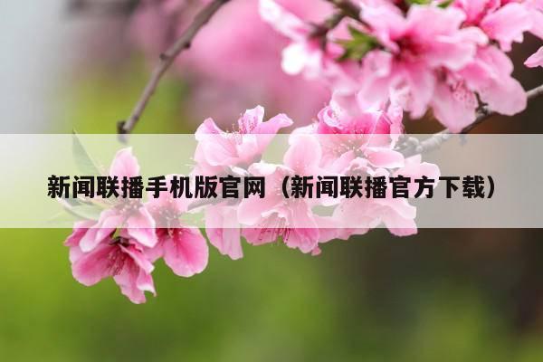 新闻联播手机版官网(新闻联播官方下载)
