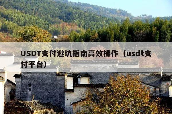 USDT支付避坑指南高效操作(usdt支付平台)