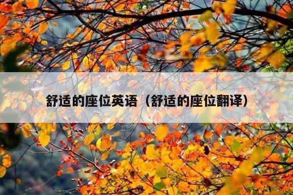 舒适的座位英语(舒适的座位翻译)