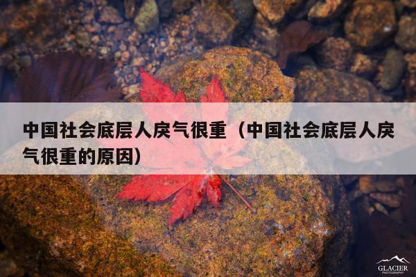 中国社会底层人戾气很重(中国社会底层人戾气很重的原因)