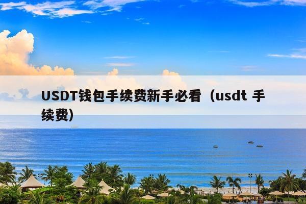 USDT钱包手续费新手必看(usdt 手续费)