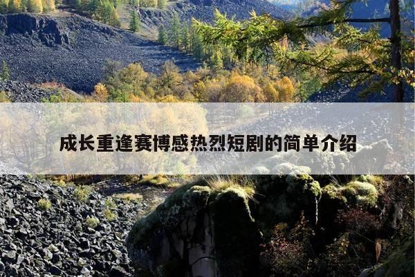 成长重逢赛博感热烈短剧的简单介绍