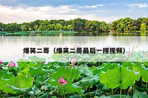 爆笑二哥(爆笑二哥最后一排视频)