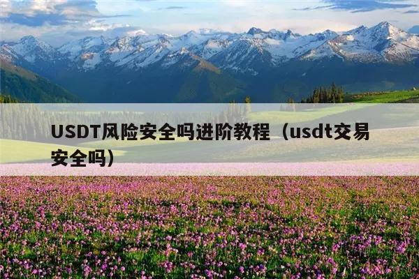 USDT风险安全吗进阶教程(usdt交易安全吗)