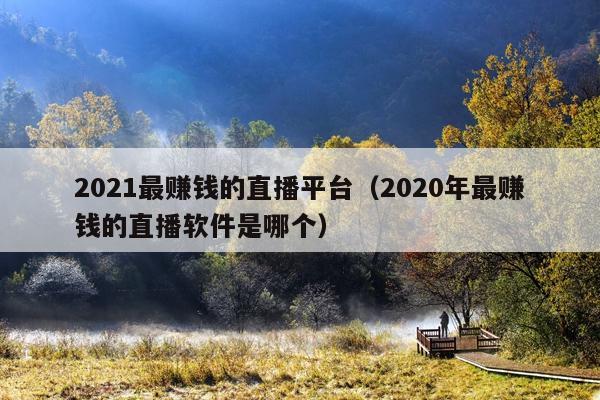 2021最赚钱的直播平台(2020年最赚钱的直播软件是哪个)
